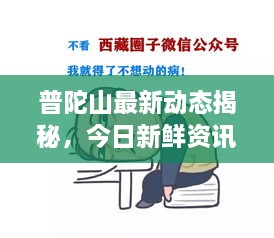 普陀山最新动态揭秘，今日新鲜资讯一网打尽