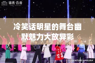 冷笑话明星的舞台幽默魅力大放异彩