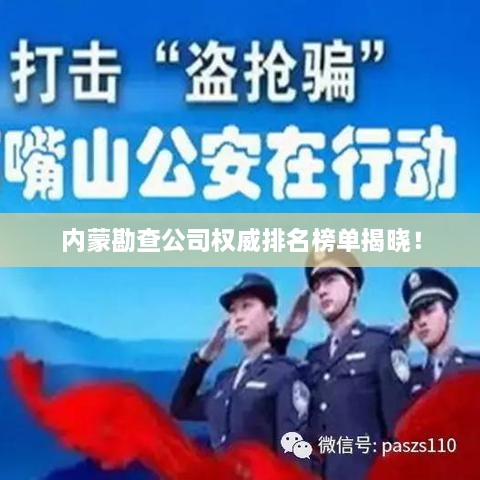 内蒙勘查公司权威排名榜单揭晓！