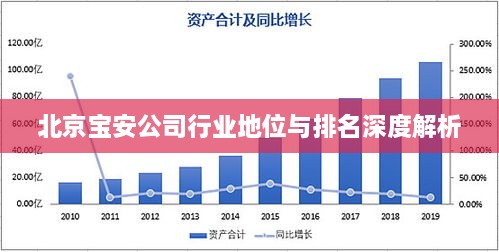 北京宝安公司行业地位与排名深度解析