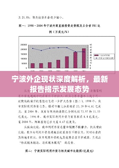 宁波外企现状深度解析，最新报告揭示发展态势