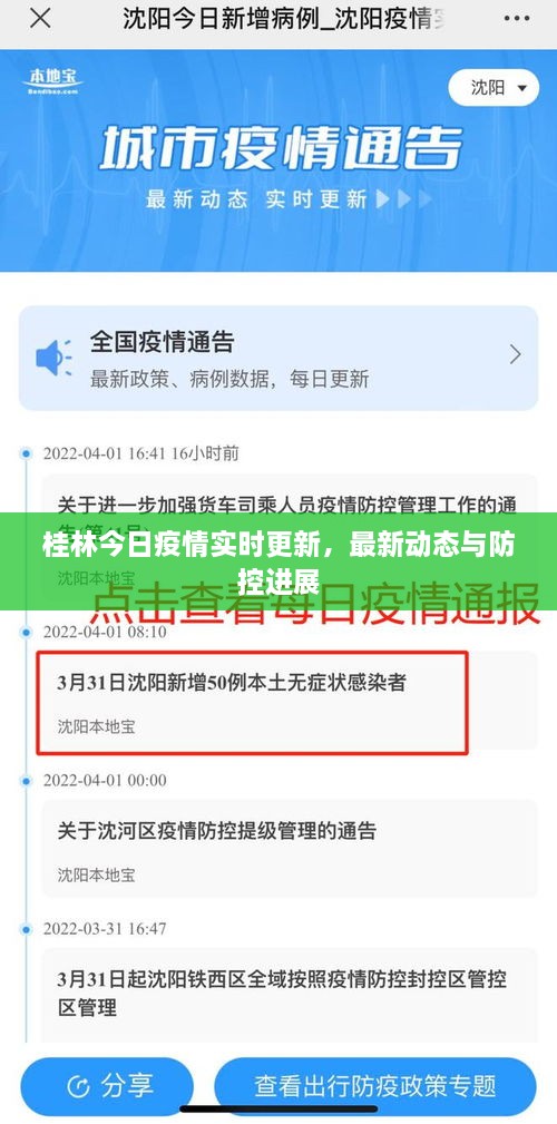 桂林今日疫情实时更新，最新动态与防控进展