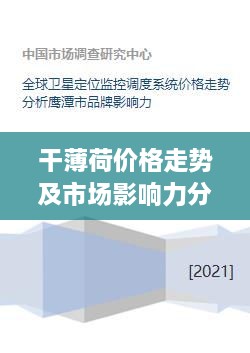 干薄荷价格走势及市场影响力分析