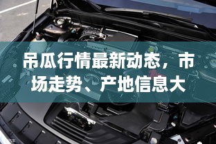 吊瓜行情最新动态，市场走势、产地信息大揭秘，未来展望令人期待！