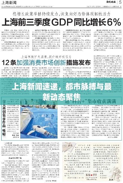 上海新闻速递，都市脉搏与最新动态聚焦