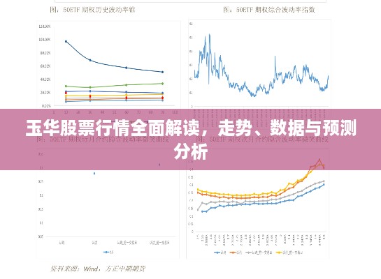 玉华股票行情全面解读，走势、数据与预测分析