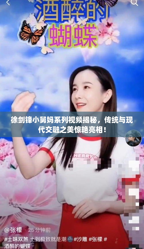 徐剑锋小舅妈系列视频揭秘，传统与现代交融之美惊艳亮相！