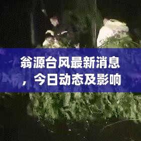 翁源台风最新消息，今日动态及影响分析