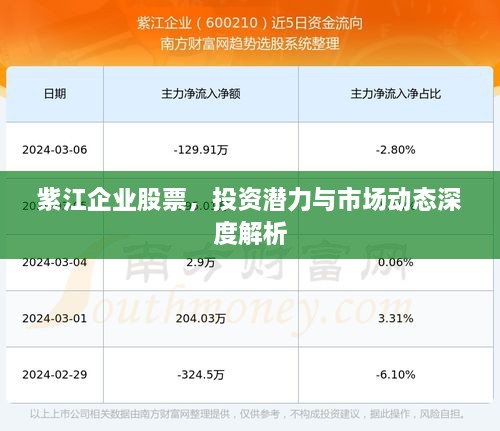 紫江企业股票，投资潜力与市场动态深度解析