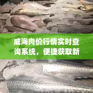 威海肉价行情实时查询系统，便捷获取新鲜肉类价格信息的新神器