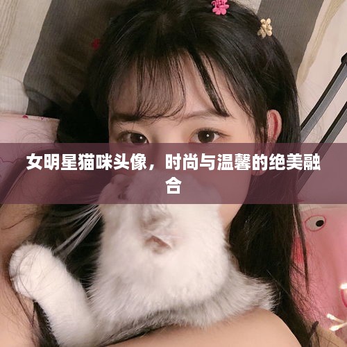 女明星猫咪头像，时尚与温馨的绝美融合