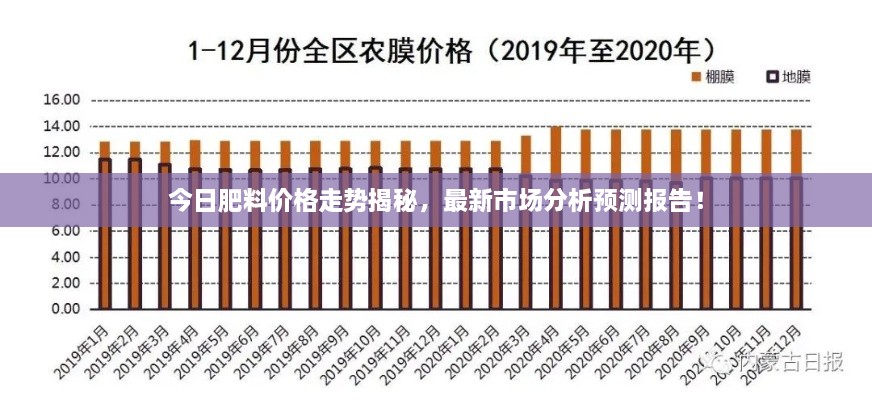 今日肥料价格走势揭秘，最新市场分析预测报告！