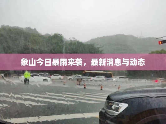 象山今日暴雨来袭，最新消息与动态