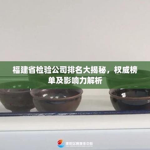 福建省检验公司排名大揭秘，权威榜单及影响力解析