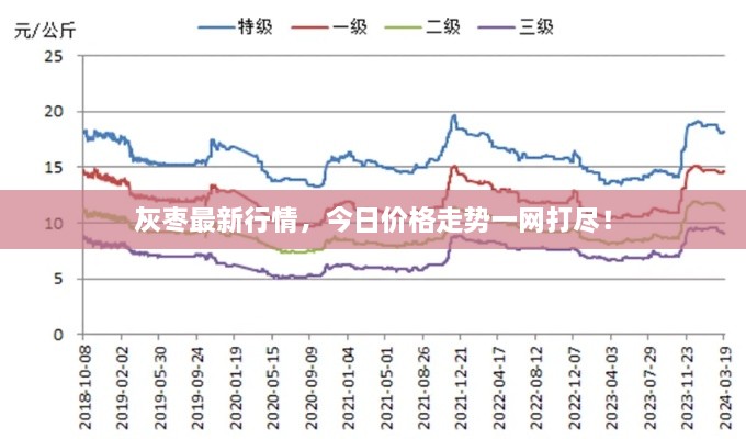 灰枣最新行情，今日价格走势一网打尽！