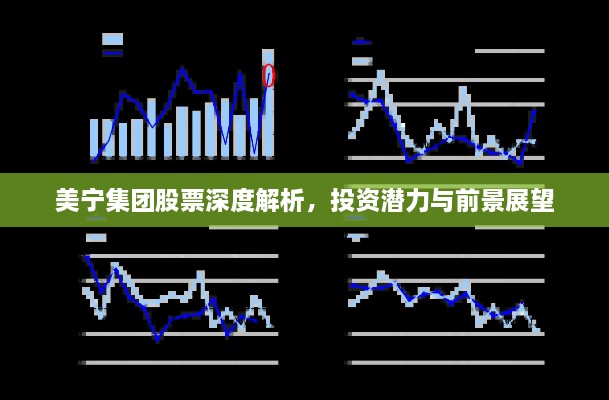 美宁集团股票深度解析，投资潜力与前景展望