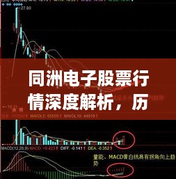 同洲电子股票行情深度解析，历史走势一网打尽