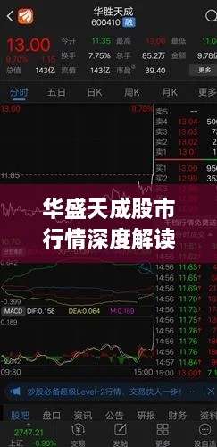 华盛天成股市行情深度解读，发行价走势分析与展望