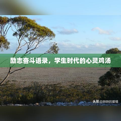 励志奋斗语录，学生时代的心灵鸡汤