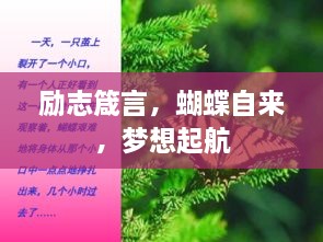 励志箴言，蝴蝶自来，梦想起航