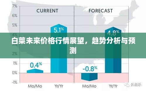 白菜未来价格行情展望，趋势分析与预测