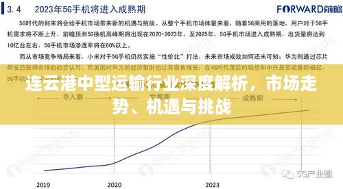 连云港中型运输行业深度解析，市场走势、机遇与挑战