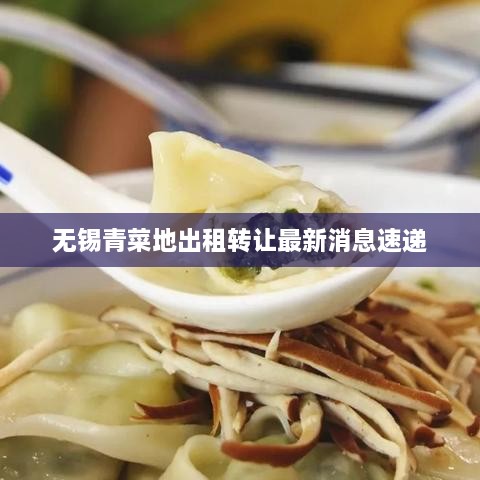 无锡青菜地出租转让最新消息速递