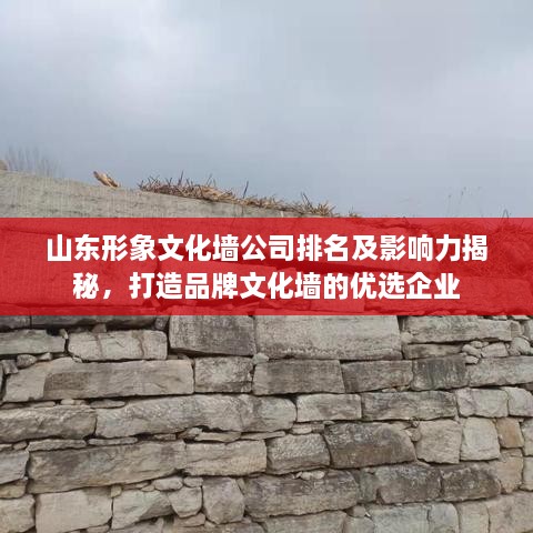 山东形象文化墙公司排名及影响力揭秘，打造品牌文化墙的优选企业