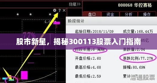 股市新星，揭秘300113股票入门指南