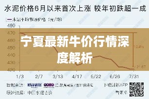 宁夏最新牛价行情深度解析