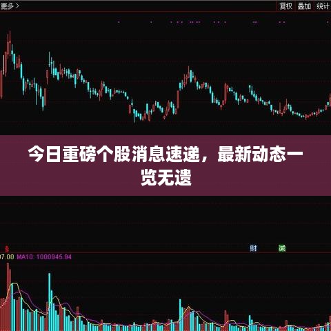 今日重磅个股消息速递，最新动态一览无遗