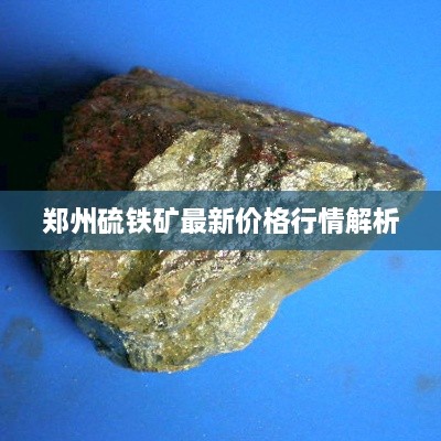 郑州硫铁矿最新价格行情解析