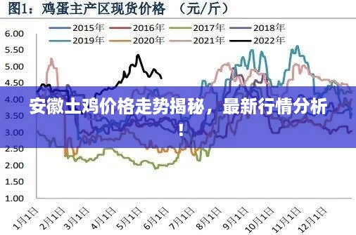 安徽土鸡价格走势揭秘，最新行情分析！