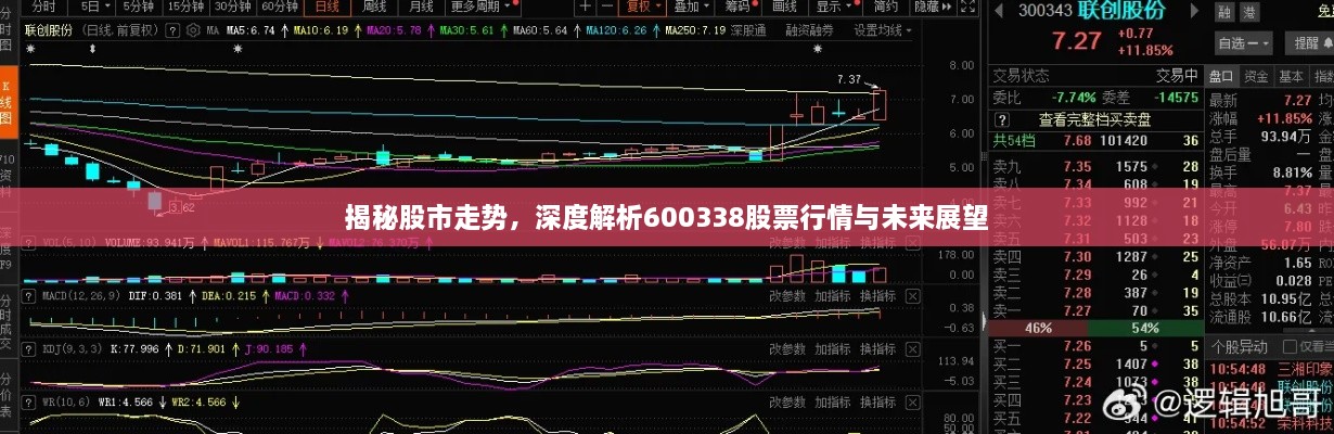 揭秘股市走势，深度解析600338股票行情与未来展望