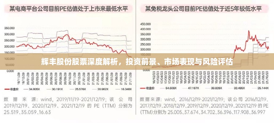 辉丰股份股票深度解析，投资前景、市场表现与风险评估