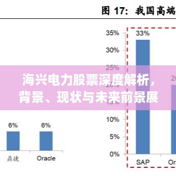 海兴电力股票深度解析，背景、现状与未来前景展望