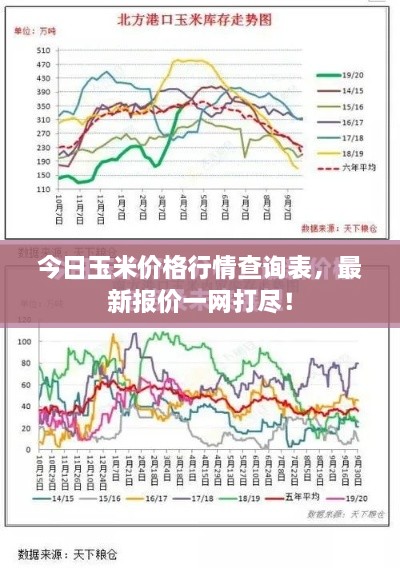 今日玉米价格行情查询表，最新报价一网打尽！