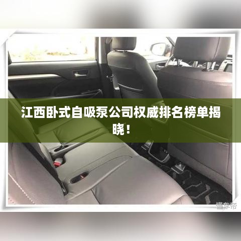 江西卧式自吸泵公司权威排名榜单揭晓！