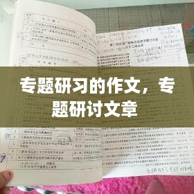 专题研习的作文，专题研讨文章 