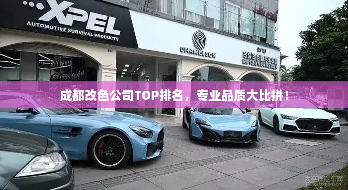 成都改色公司TOP排名，专业品质大比拼！