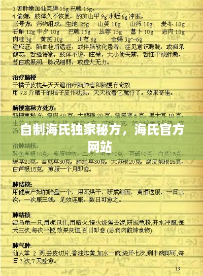 自制海氏独家秘方，海氏官方网站 