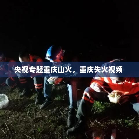 央视专题重庆山火，重庆失火视频 