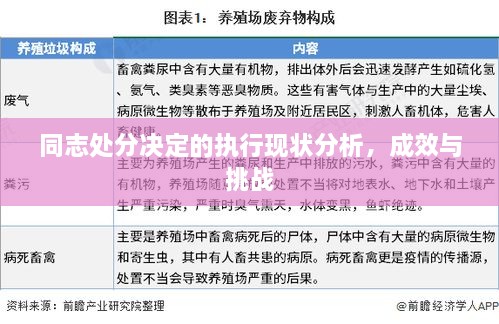 同志处分决定的执行现状分析，成效与挑战