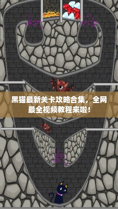 黑猫最新关卡攻略合集，全网最全视频教程来啦！