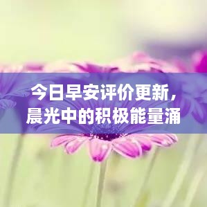今日早安评价更新，晨光中的积极能量涌动