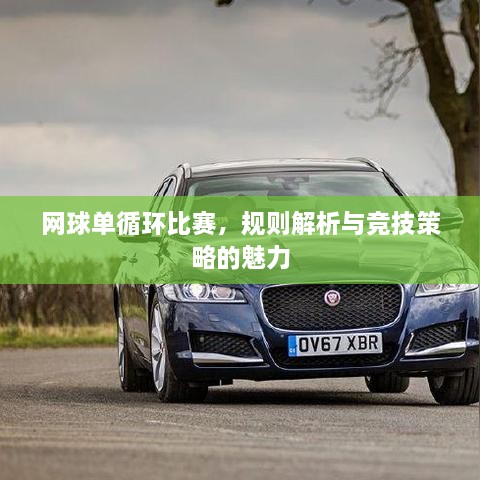 网球单循环比赛，规则解析与竞技策略的魅力