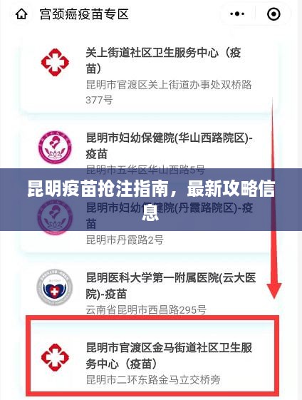 昆明疫苗抢注指南，最新攻略信息