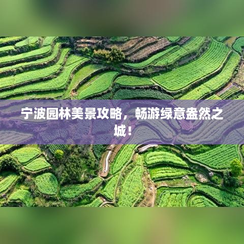 宁波园林美景攻略，畅游绿意盎然之城！