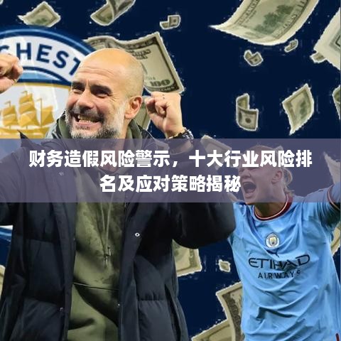 财务造假风险警示，十大行业风险排名及应对策略揭秘